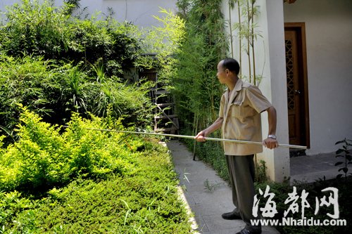 三坊七巷長蛇出沒 “捕蛇王”兩度抓捕未果