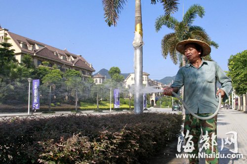 福州市民響應“一桶水”行動 千人接力護綠