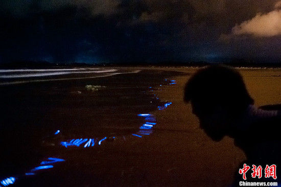 福建平潭現藍眼淚奇觀 絢麗如置身阿凡達