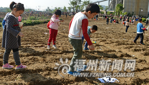 180個家庭種4千平方米油菜花 南江濱春節現花海
