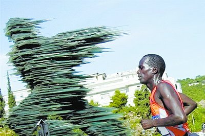 全球多個城市下周在廈“比美” 總決賽28日開幕