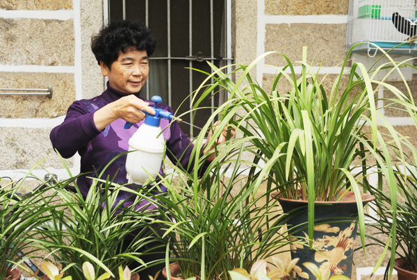 同安凝聚力量社區書寫美麗篇章