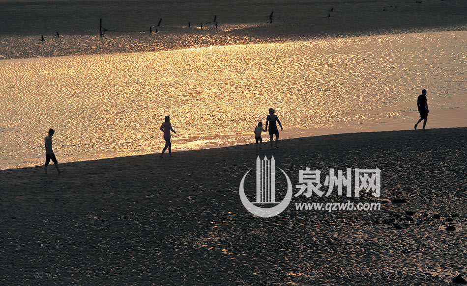 泉州金色海岸再現(xiàn)嬌顏