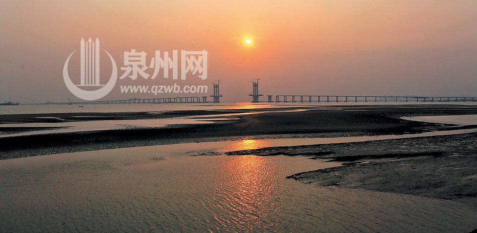 泉州金色海岸再現嬌顏