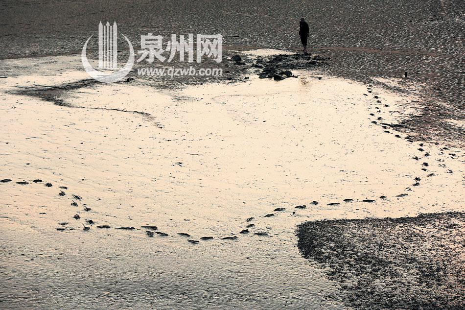 泉州金色海岸再現(xiàn)嬌顏