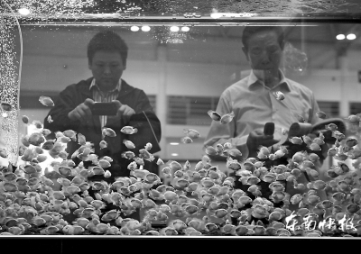 漁博會昨落幕簽約金額150多億元 逛展人數達30萬人次