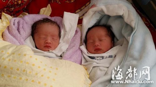 福州最個性龍鳳胎名:男娃林志穎 女娃林志玲