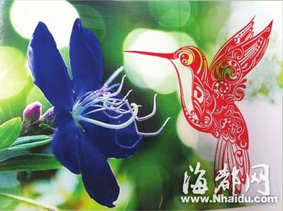 長樂一80后小伙子剪紙技藝驚艷眾網友