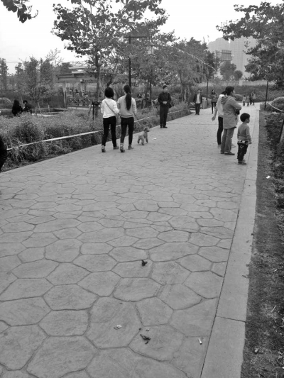 周末花海公園有人遛狗 帶寵物進(jìn)園最高罰500元