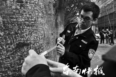 三棵大葉榕行道樹 遭福州瑞城花園小區物業斧砍