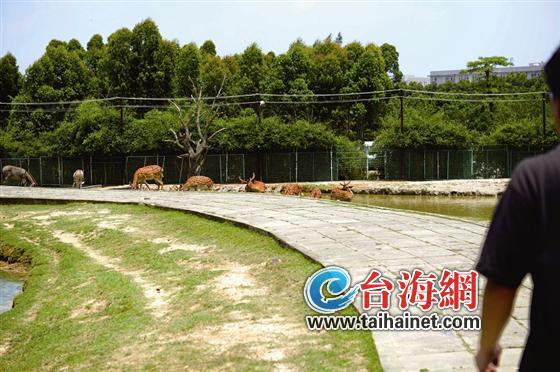 欠租金滯納金上千萬元 海滄動物園被判半年內搬遷