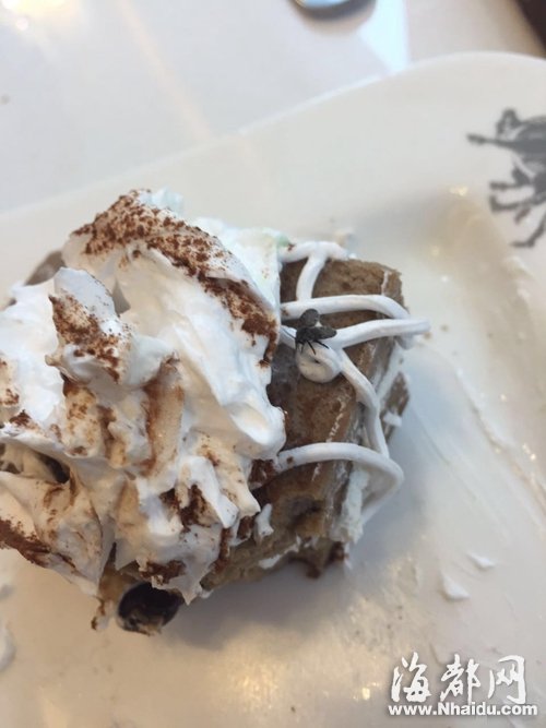 斗牛士餐廳甜點沾上毛蠓 市民餐后出現嘔吐腹瀉