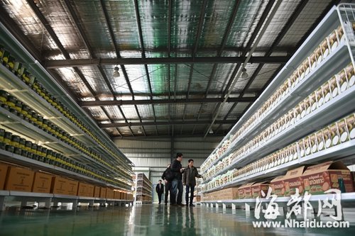 福建開啟“自貿(mào)加速度” 有閩商擬將總部遷回