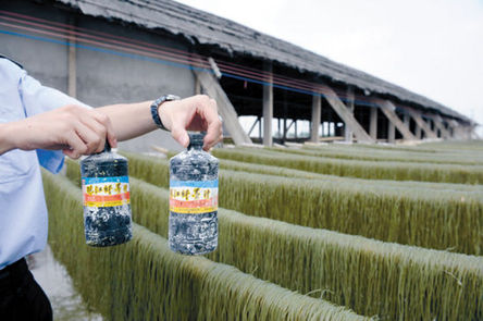 墨汁紅薯粉老板自爆:往粉條里“加料”是行規