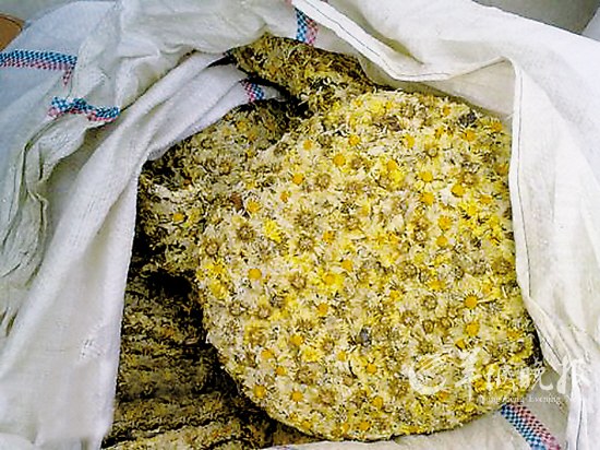 廣州查處涉嫌打磺菊花 業內稱九成中藥存濫用硫磺