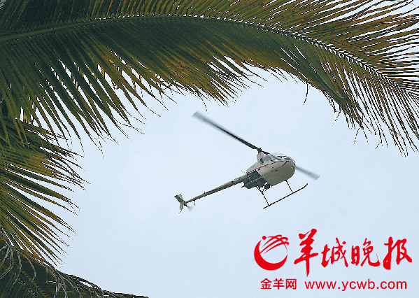 東莞一年增3400位千萬富豪 企業老板不以為然