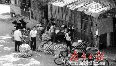 “雞霸”團(tuán)伙覆滅 雞肉價(jià)格平均每斤下降1-2元