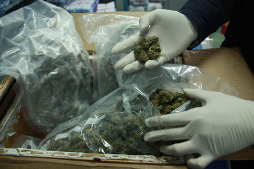 廣州海關截獲彼岸漂來的毒“玫瑰”