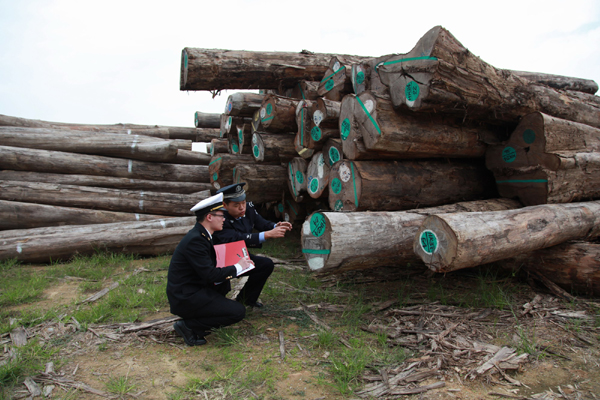 廣州海關(guān)破獲2.34億元走私高檔柚木案