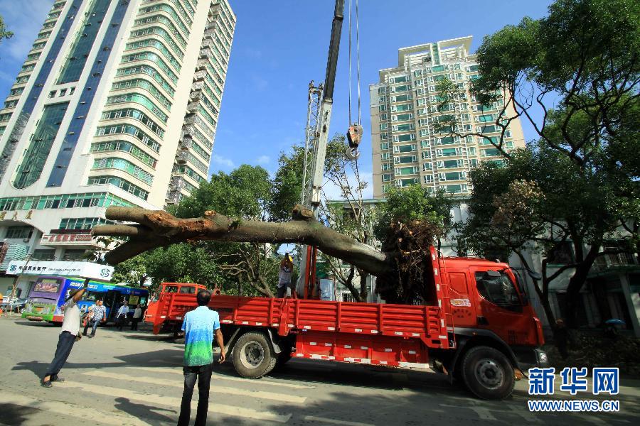 “天兔”遠(yuǎn)去 廣東汕頭抓緊災(zāi)后自救