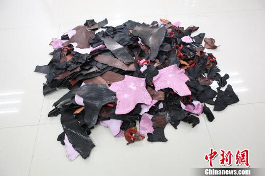 深圳羅湖海關一次截獲瀕危動物鱷魚皮料641塊