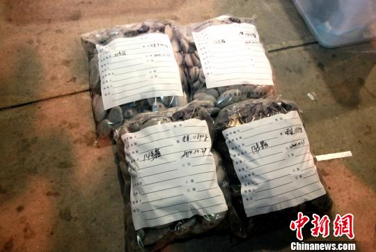 “三國四方”跨國跨區域緝毒 繳冰毒106公斤