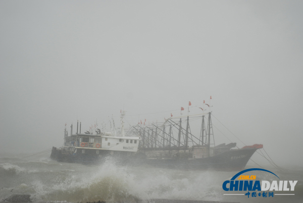 海事部門嚴(yán)防死守防抗“尤特” 茂名港在港243艘船舶防風(fēng)安全有序