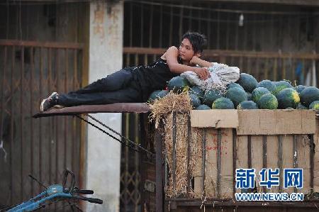 南方降雨加劇西瓜銷售難