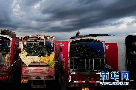 南方降雨加劇西瓜銷售難