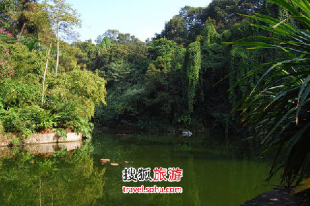 “綠城”南寧 歌舞升平絕對(duì)奔放