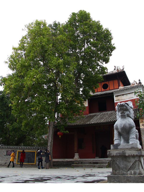 古香古色楊美村(組圖)