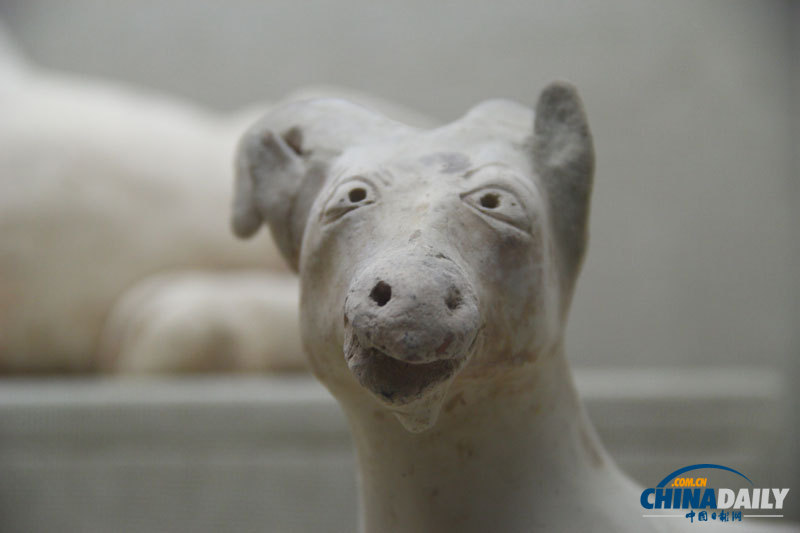 走進廣西壯族自治區博物館