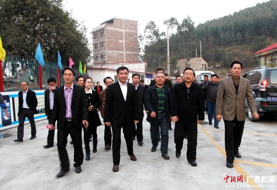 廣西自治區(qū)副主席唐仁健到環(huán)江縣調(diào)研扶貧工作