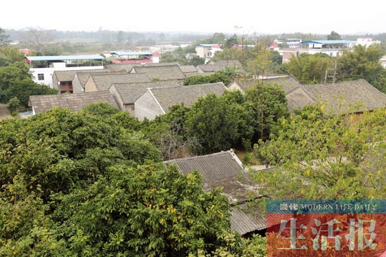 南寧那學(xué)坡：古民居蘊(yùn)含古老文化 鬧市邊緣好去處
