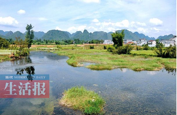 廣西13個國家濕地公園 原始生態風光值得欣賞