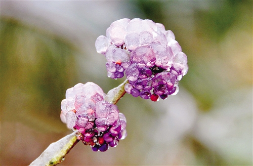 今日立春冷空氣襲邕 未來七天維持陰冷小雨天氣