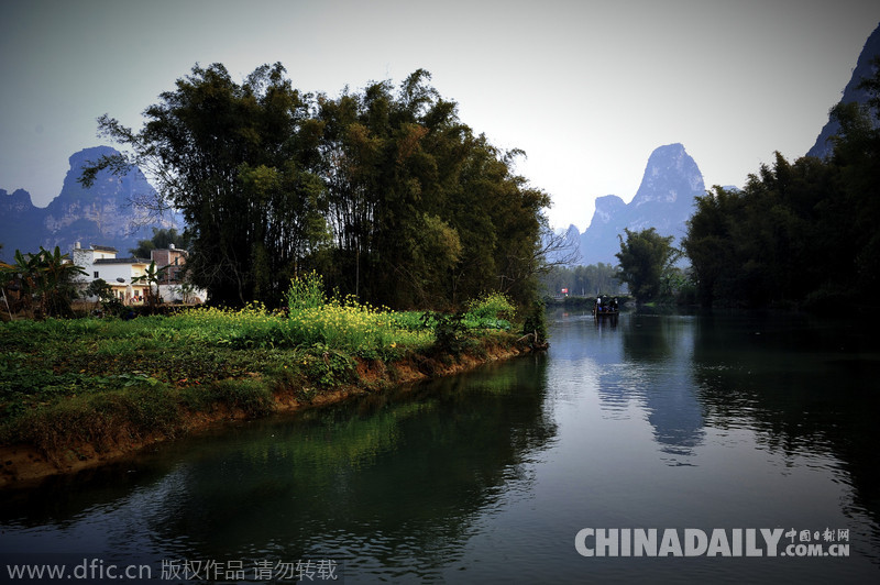 南國(guó)桃源 絕色廣西 “明仕田園”讓人無(wú)法拒絕邊境之美