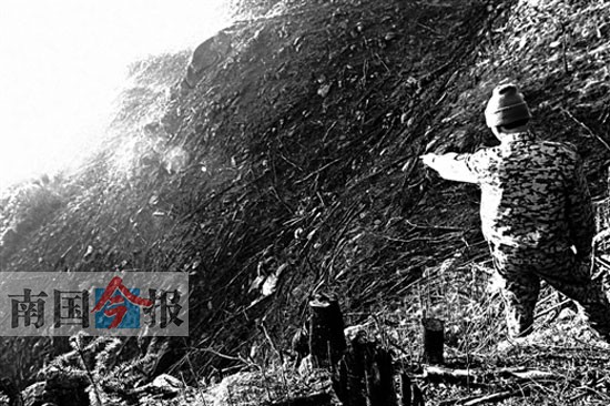 元寶山400畝左右公益林疑遭毀壞 事發融水香粉鄉