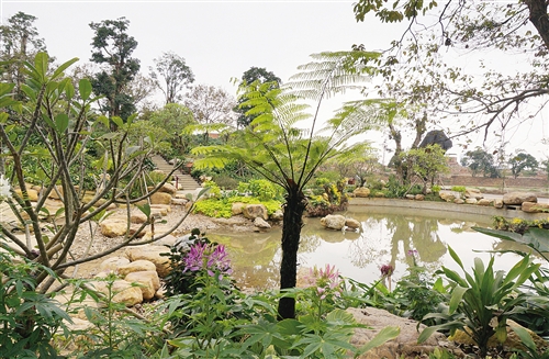 南寧積極打造宜游城市 青秀山等景區上榜“十佳”