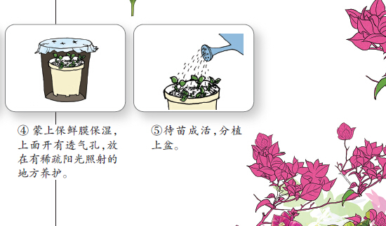 樹木認捐認養遭到冷遇 為南寧添綠需要您出一份力