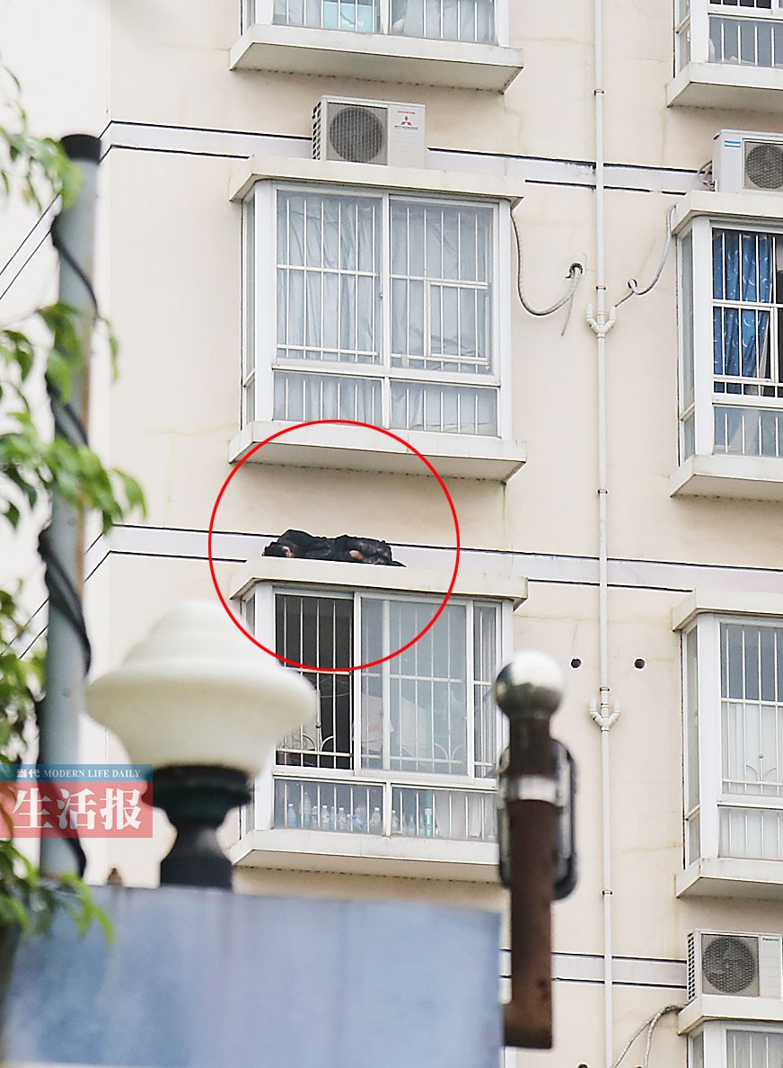 男子行竊被發現躲飄窗頂12小時 四肢麻木饑寒交加 男子行竊被發現躲飄窗頂12小時 四肢麻木饑寒交加