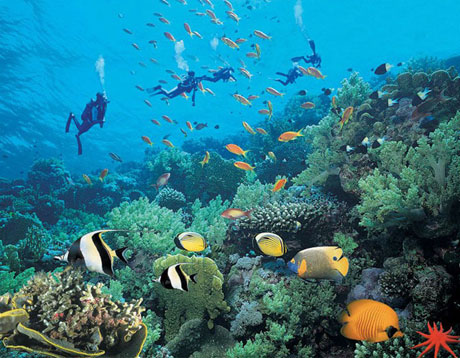 天下第一亞龍灣