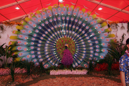 第四屆中國（三亞）國際熱帶蘭花博覽會在三亞隆重開幕