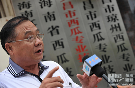 西瓜本無事傳言猛于虎 “膨大劑”傳言之禍