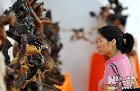 海南海口：根雕藝術(shù)精品展免費(fèi)展出半個(gè)月