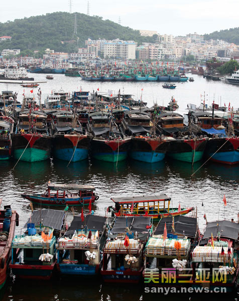 熱帶風暴“韋森特”生成 臺風藍色預警拉響