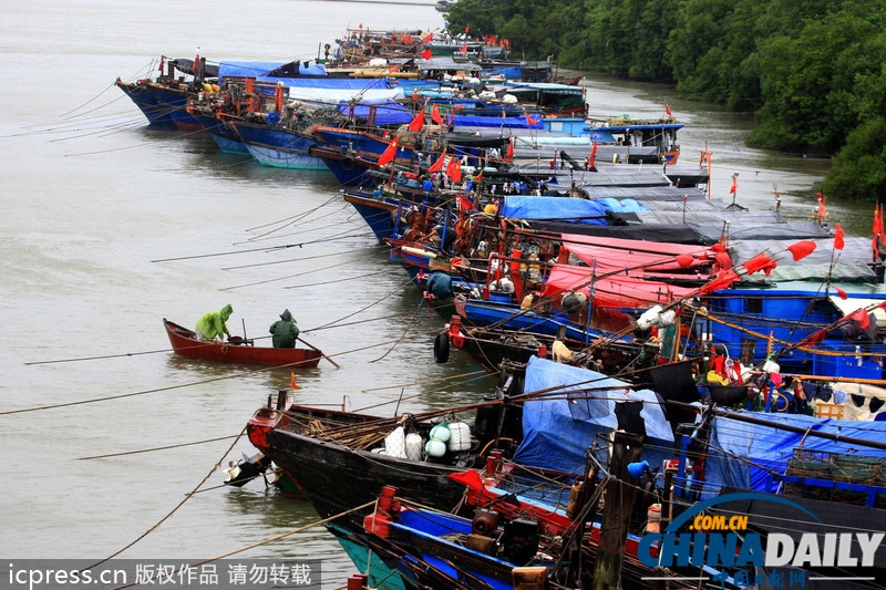 海南防風響應升至III級 臺風“百合”致2萬余漁船回港避風