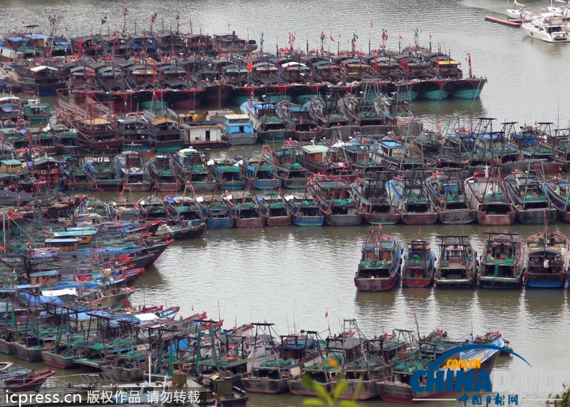 海南防風響應升至III級 臺風“百合”致2萬余漁船回港避風