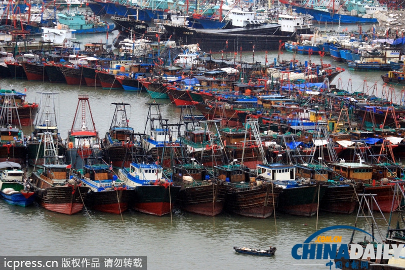 海南防風響應升至III級 臺風“百合”致2萬余漁船回港避風