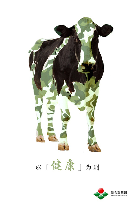 “天鶴獎(jiǎng)”“陽(yáng)光杯”兩賽聚海南 創(chuàng)意設(shè)計(jì)百花齊放